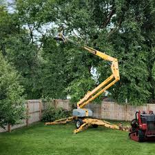 Why Choose Our Tree Removal Services in Holly Ridge, NC?